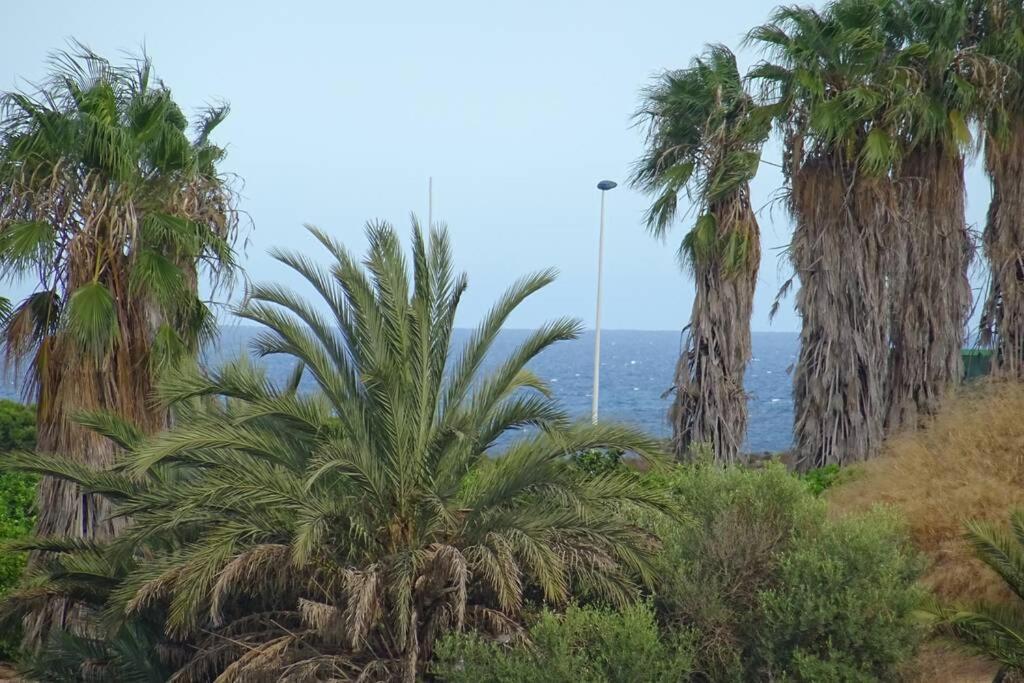 Casa Los Altos Torrevieja - Orihuela Costa Villa Dış mekan fotoğraf